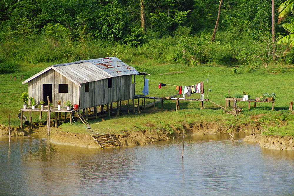 A wooden house with plants and a garden in the Breves Narrows in the Amazon area of Brazil, South America