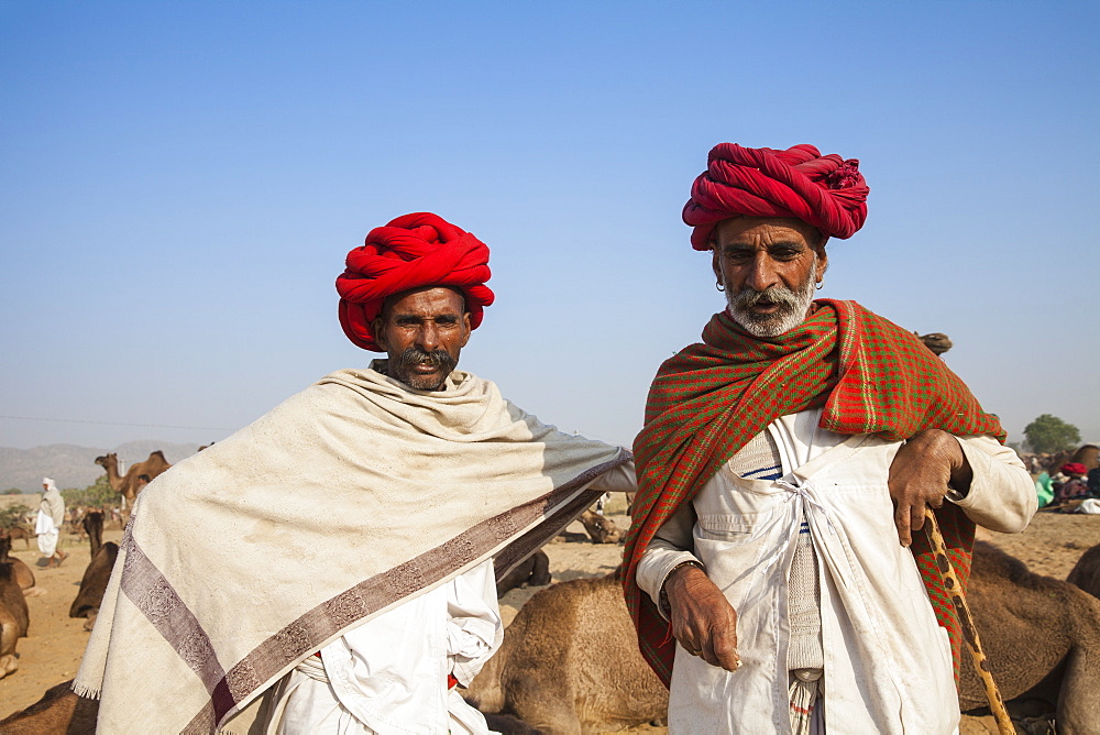 Pushkar Camel Fair, Pushkar, Rajasthan, India, Asia