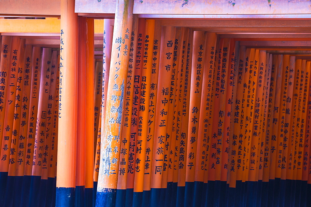 Vermilion torii gates, donated and inscribed by businesses and individuals, Fushimi Inari Shrine, Kyoto, Japan, Asia