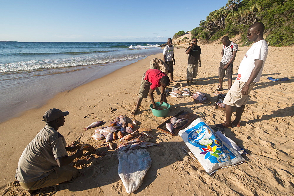 Tofo Beach, Mozambique, Africa