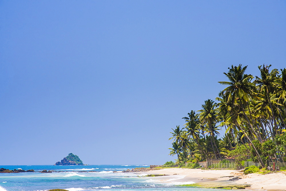 Midigama Beach, a tropical, palm tree lined beach near Weligama on the South Coast of Sri Lanka, Indian Ocean, Asia