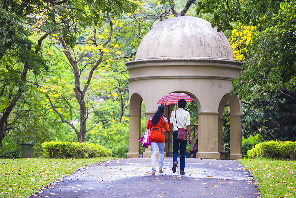 Couple walking in Kandy Royal Botanical Gardens, Peradeniya, Kandy, Sri Lanka, Asia