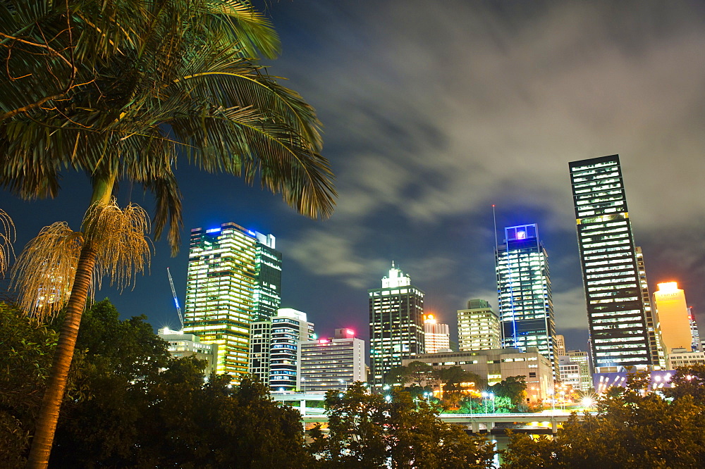 Palm tree and Brisbane skyline at night, Brisbane, Queensland, Australia, Pacific