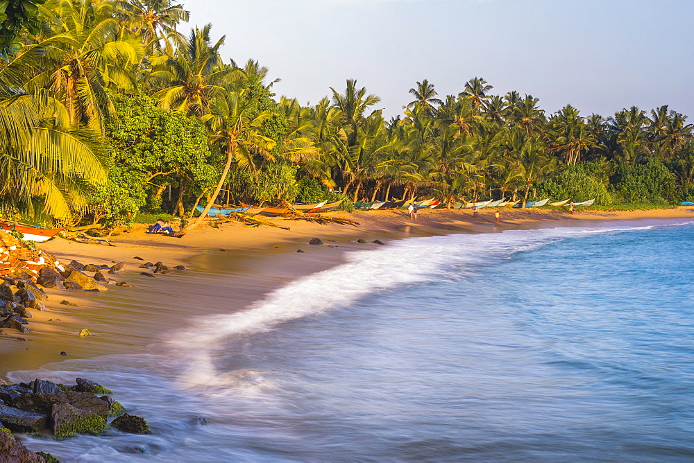 Palm trees on Mirissa Beach, South Coast, Southern Province, Sri Lanka, Asia 