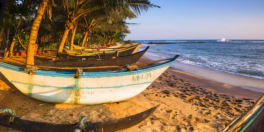 Traditional Sri Lanka fishing boat, Mirissa Beach, South Coast, Southern Province, Sri Lanka, Asia 