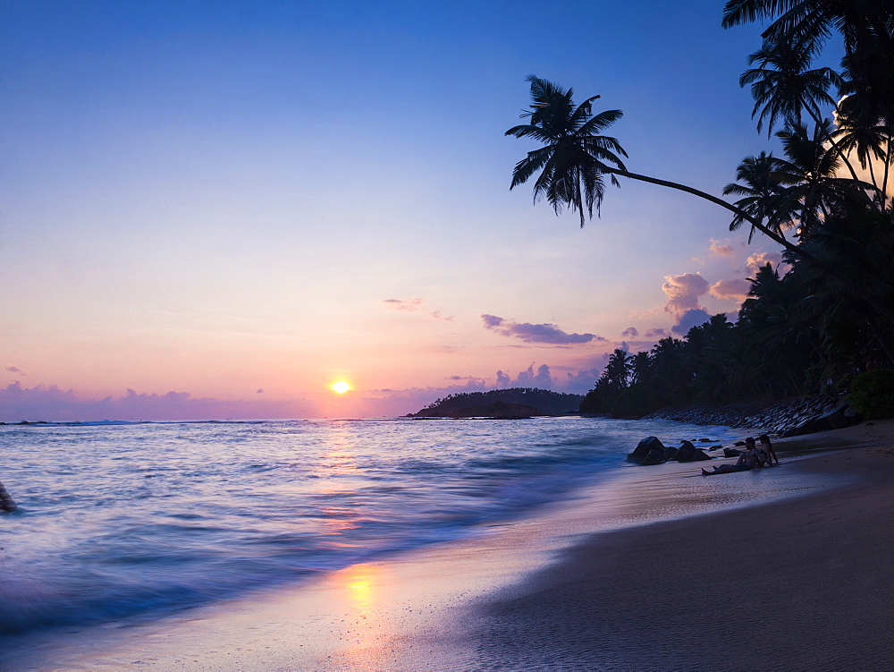 Palm tree at sunset on tropical Mirissa Beach, South Coast of Sri Lanka, Southern Province, Sri Lanka, Asia