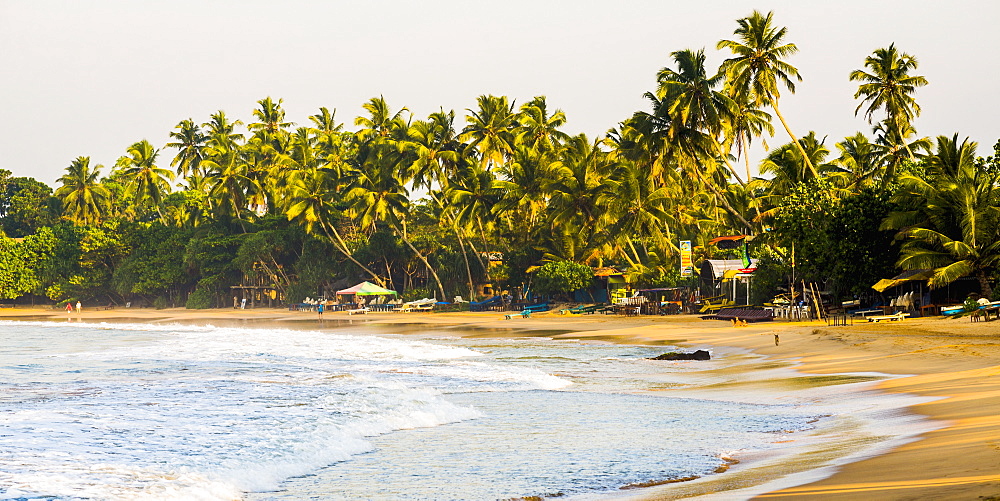 Mirissa Beach at sunset, South Coast, Southern Province, Sri Lanka, Asia 