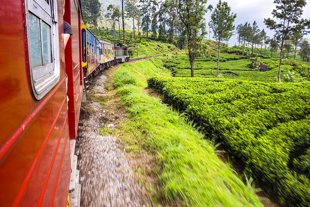 Train journey through tea plantations, Haputale, Sri Lanka Hill Country, Nuwara Eliya District, Sri Lanka, Asia 