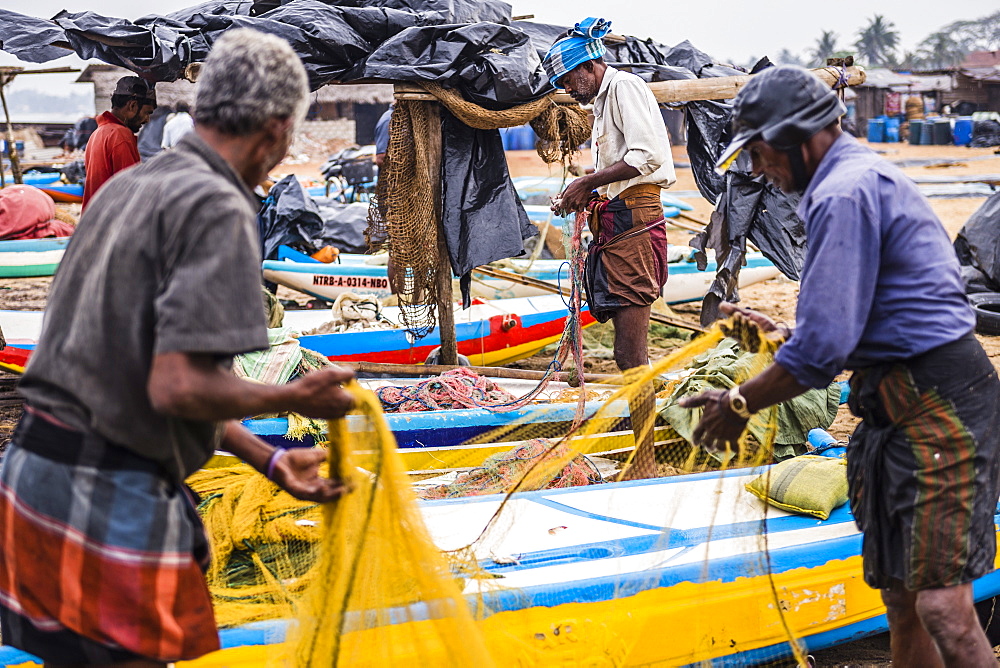 Negombo fish market (Lellama fish market), fishermen checking their catch, Negombo, West Coast, Sri Lanka, Asia 