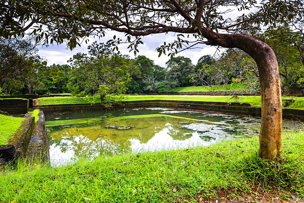 Water Gardens at Sigiriya Rock Fortress (Lion Rock), Sigiriya, North Central Province, Sri Lanka, Asia 