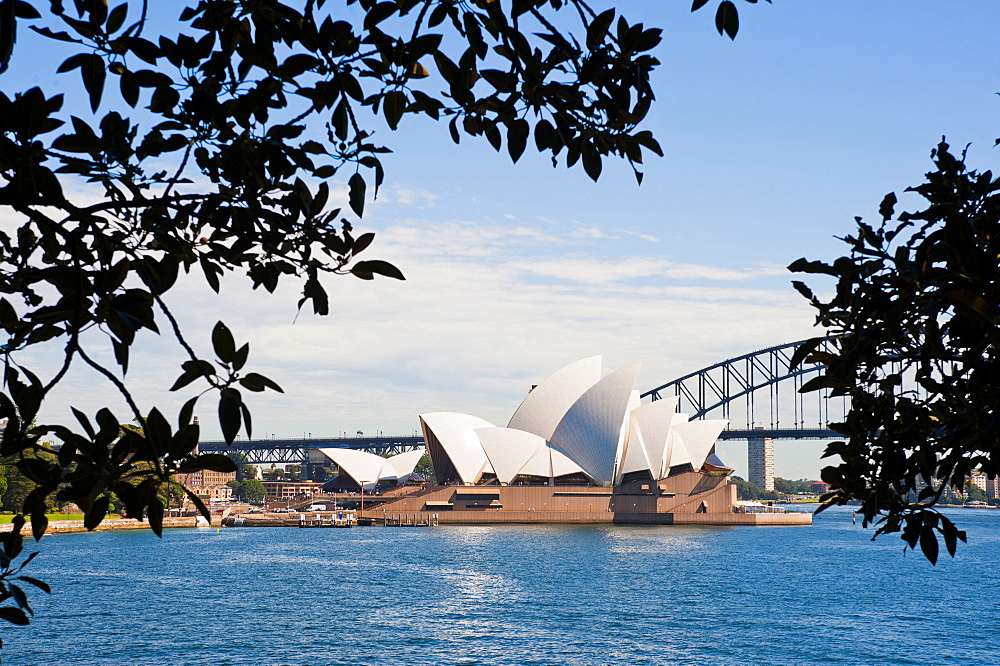 Sydney Opera House, UNESCO World Heritage Site, and bridge from the Sydney Botanic Gardens, Sydney, New South Wales, Australia, Pacific