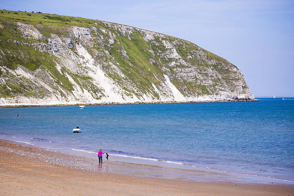 Swanage Beach, woman walking her dog under white cliffs, Dorset, Jurassic Coast, England, United Kingdom, Europe 