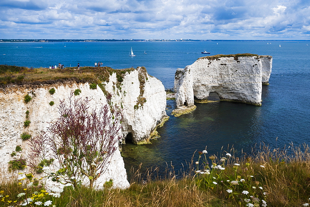 Chalk stacks and cliffs at Old Harry Rocks, between Swanage and Purbeck, Dorset, Jurassic Coast, UNESCO World Heritage Site, England, United Kingdom, Europe 