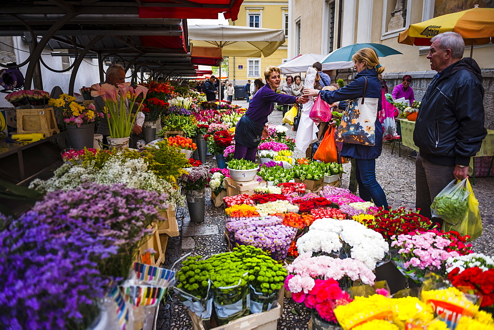 Flower stall owner in Ljubljana Central Market on a Saturday in Vodnikov Trg, Ljubljana, Slovenia, Europe