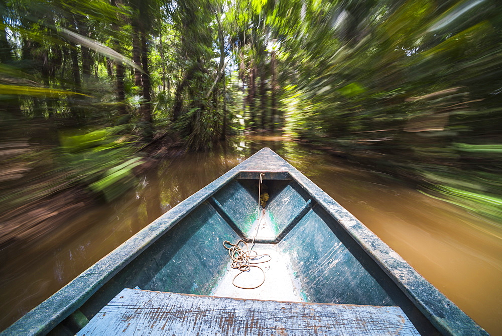 Canoe boat trip in Amazon Jungle of Peru, by Sandoval Lake in Tambopata National Reserve, Peru, South America