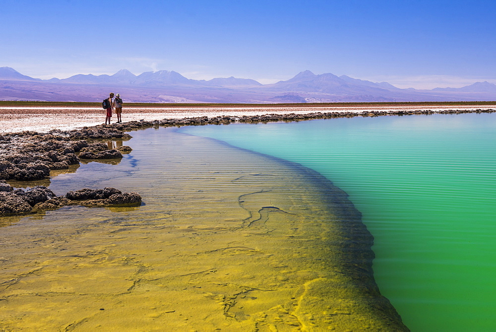 Laguna Cejar (floating salt lake lagoon), Atacama Desert, North Chile, Chile, South America