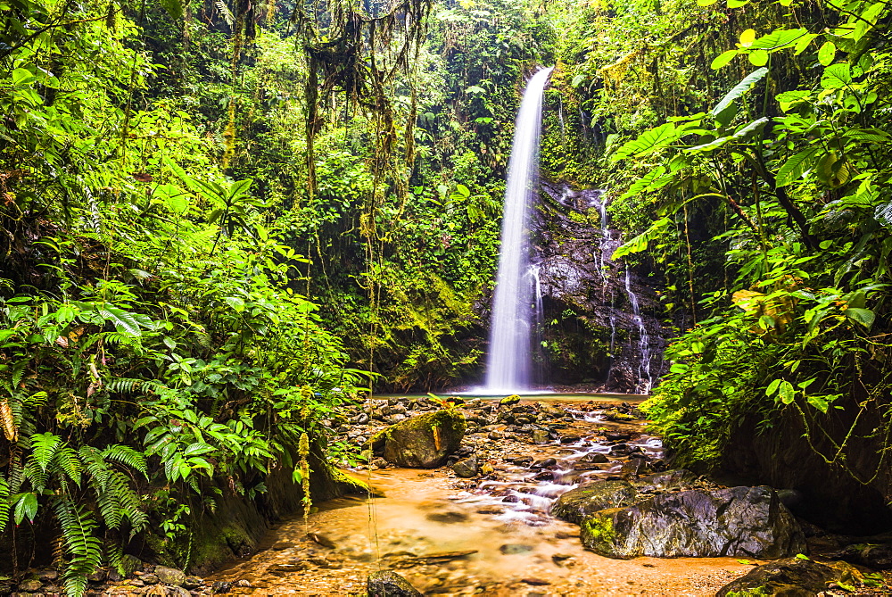 Waterfall San Vincente in an area of jungle called Mashpi Cloud Forest in the Choco Rainforest, Ecuador, South America