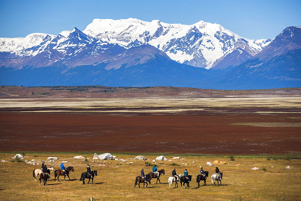 Horse trek on an estancia (farm), El Calafate, Patagonia, Argentina, South America