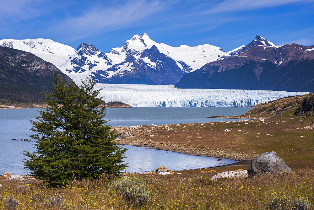 Perito Moreno Glaciar, Los Glaciares National Park, UNESCO World Heritage Site, near El Calafate, Patagonia, Argentina, South America