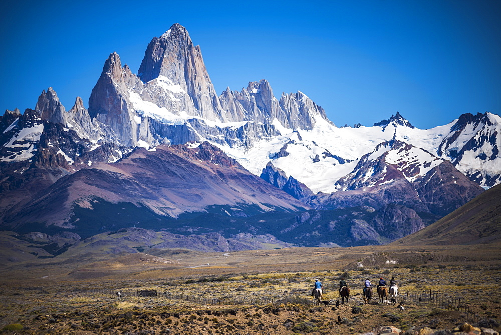 Gauchos riding horses and herding sheep with Mount Fitz Roy behind, UNESCO World Heritage Site, El Chalten, Patagonia, Argentina, South America