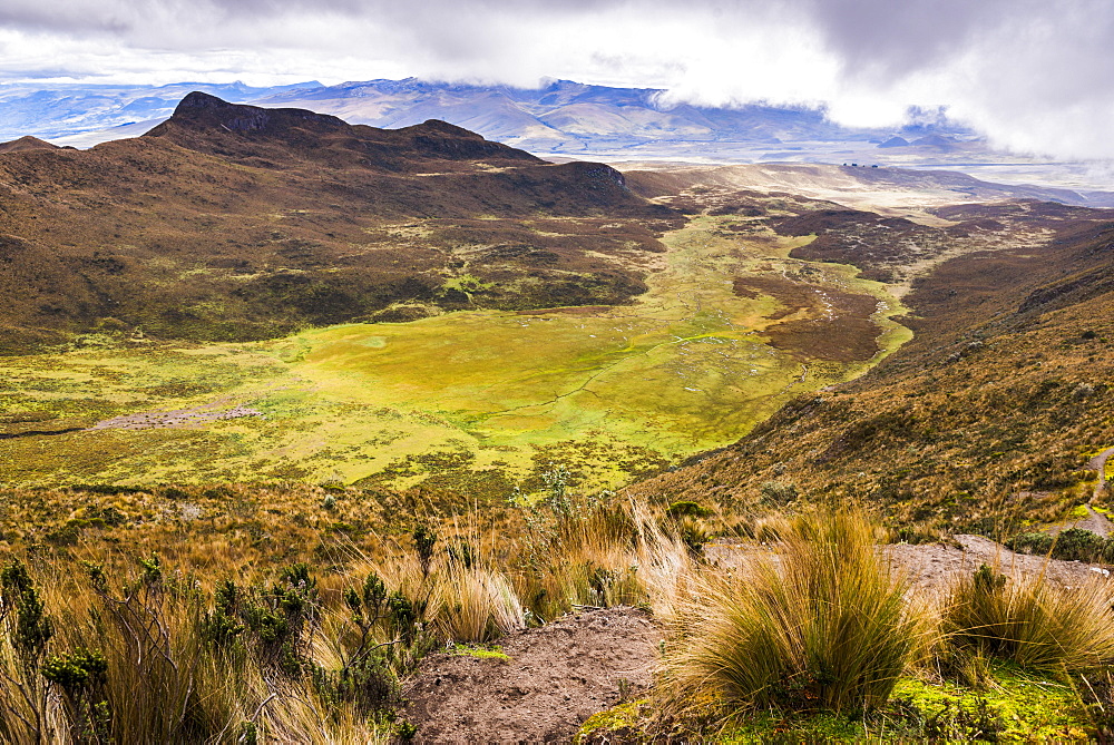 Ruminahui Volcano Valley, Cotopaxi National Park, Avenue of Volcanoes, Ecuador, South America