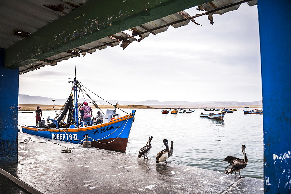 Fishing boat at fishing harbour in Paracas National Reserve (Reserva Nacional de Paracas), Ica, Peru, South America