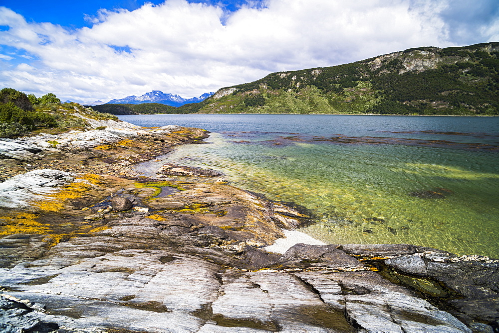 Tierra Del Fuego National Park, Ushuaia, Patagonia, Argentina, South America