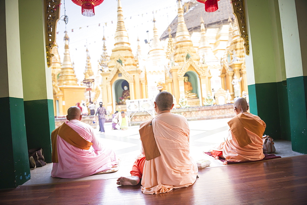 Buddhist Nuns praying at Shwedagon Pagoda (Shwedagon Zedi Daw) (Golden Pagoda), Yangon (Rangoon), Myanmar (Burma), Asia