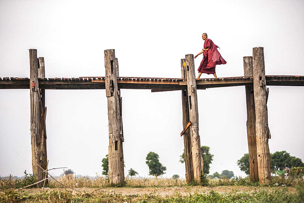 Buddhist Monk on U Bein Teak Bridge, a 1.2km wooden bridge, Mandalay, Mandalay Region, Myanmar (Burma), Asia