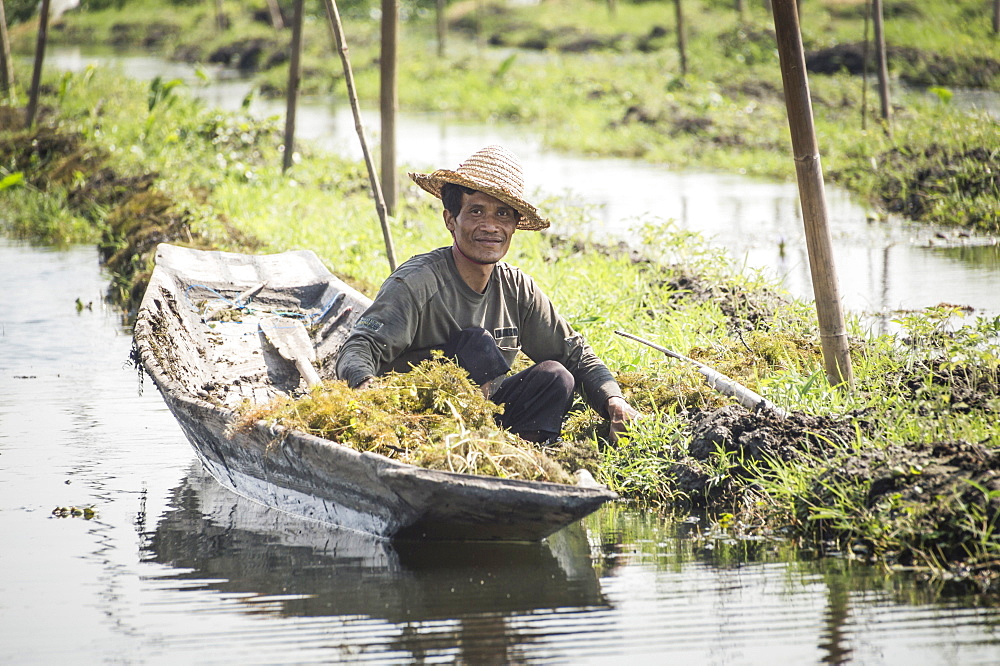 Farmers at the Floating Gardens at Inle Lake, near Nyaungshwe, Shan State, Myanmar (Burma), Asia