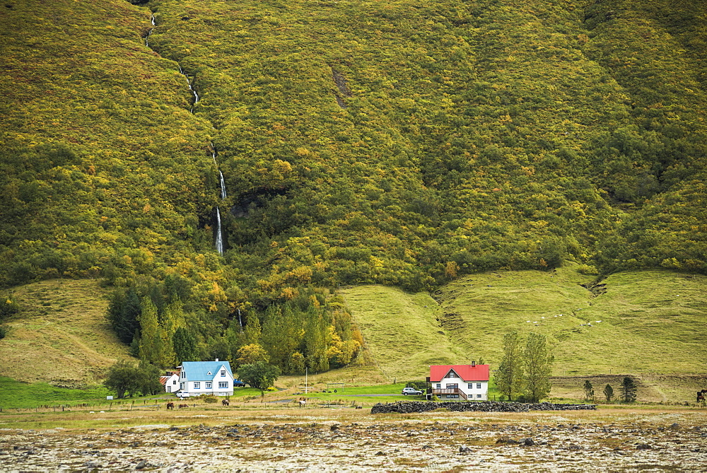 Hamlet near Vik, South Region (Sudurland), Iceland, Polar Regions