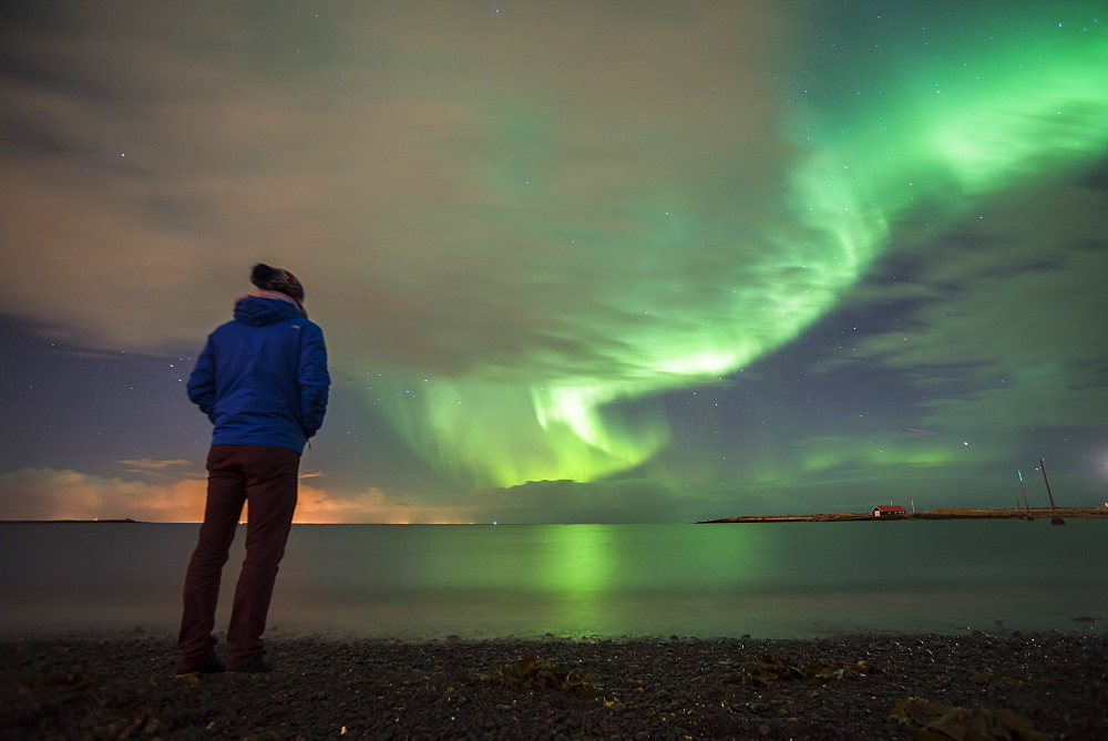 Tourist watching the Northern Lights (Aurora Borealis), Reykjavik, Iceland, Polar Regions