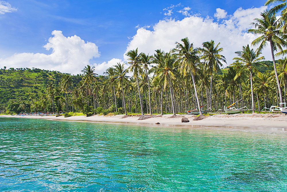 Palm trees, Nippah Beach, Lombok, West Nusa Tenggara, Indonesia, Southeast Asia, Asia