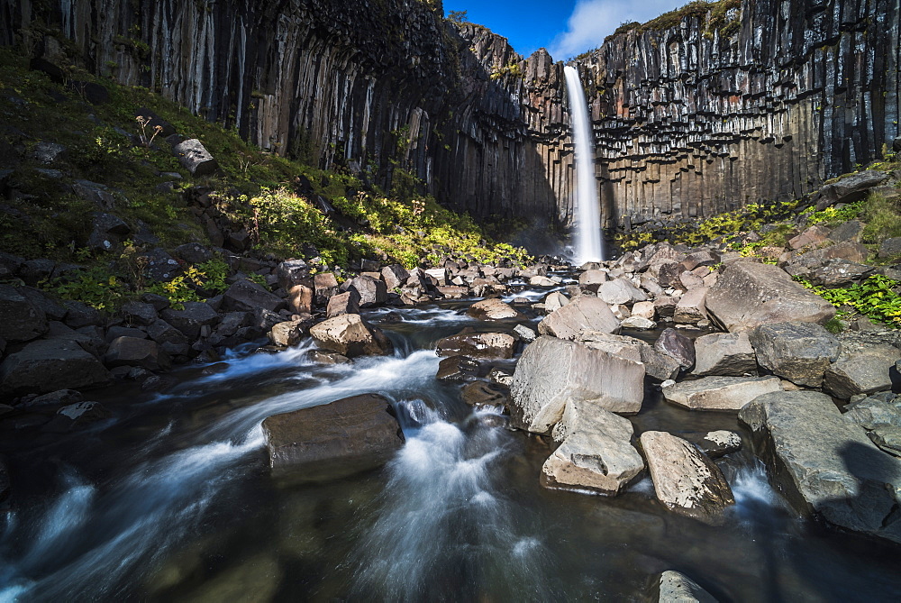 Svartifoss (Black Waterfall) and the Basalt Columns, Skaftafell, Vatnajokull National Park, South Region of Iceland (Sudurland), Iceland, Polar Regions