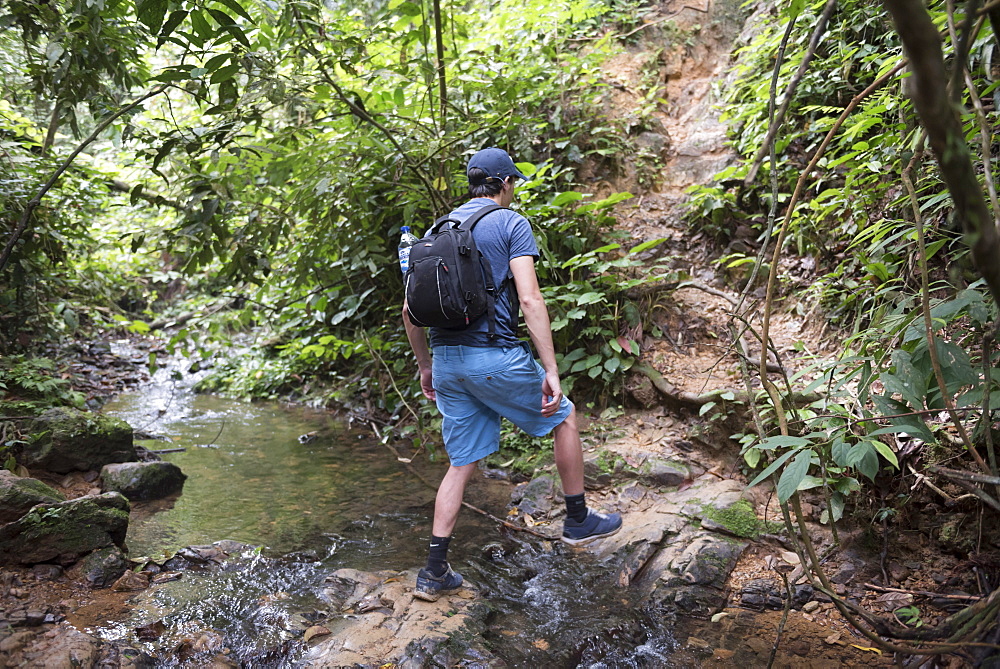 Tourist on a jungle trek in Gunung Leuser National Park, Bukit Lawang, North Sumatra, Indonesia, Southeast Asia, Asia