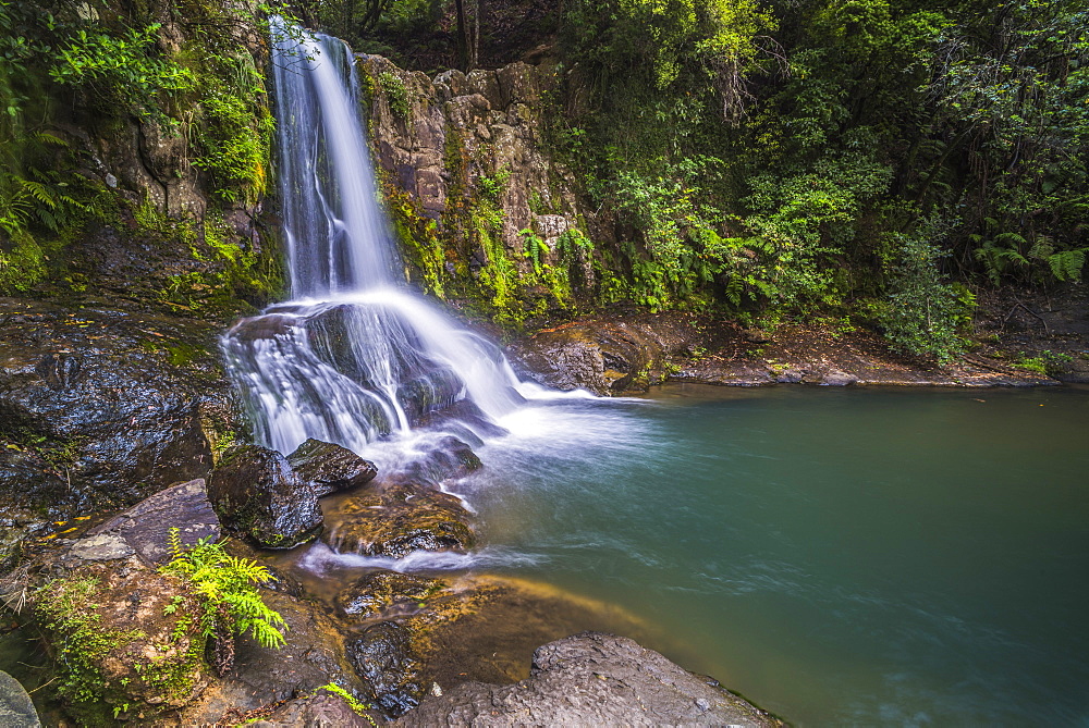 Waiau Falls, a waterfall on Road 309, Coromandel Peninsula, North Island, New Zealand, Pacific