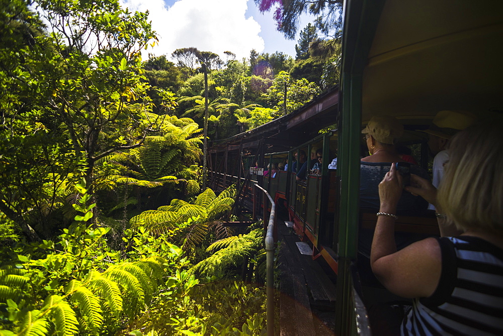 Driving Creek Railway, Coromandel Town, Coromandel Peninsula, North Island, New Zealand, Pacific