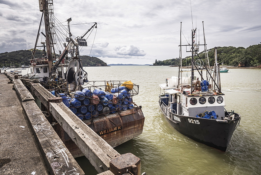 Fishing boat in Mangonui Harbour, Northland Region, North Island, New Zealand, Pacific