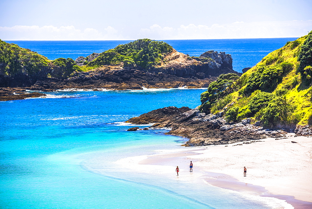 White sandy beach in the Bay of Islands, in the Waikare Inlet, visited by sailing boat from Russell, Northland Region, North Island, New Zealand, Pacific