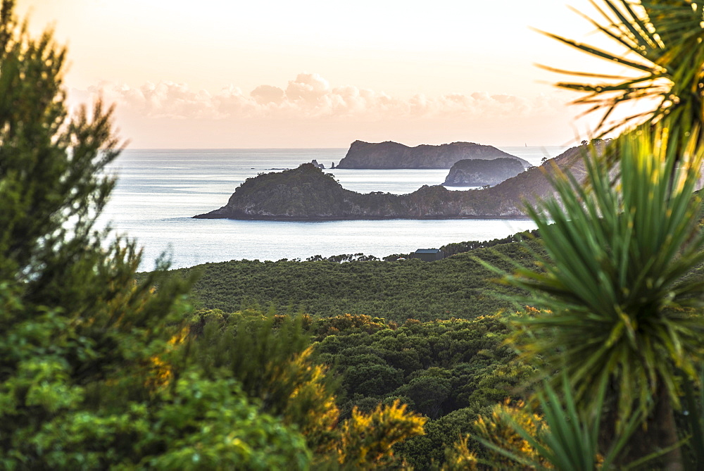 Bay of Islands coastline at sunrise, seen from Russell, Northland Region, North Island, New Zealand, Pacific