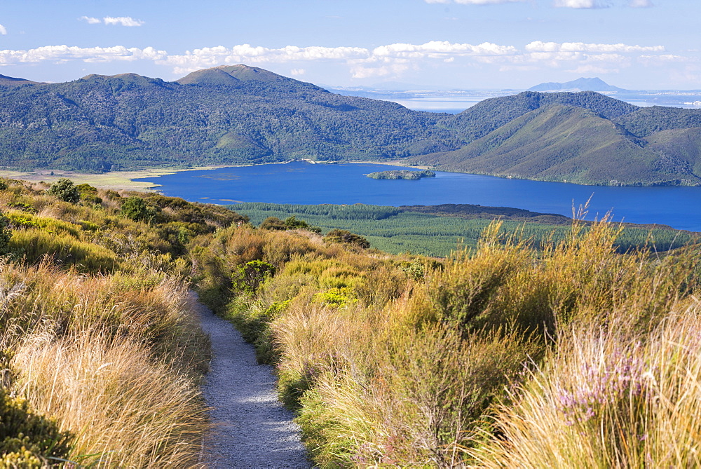 Lake Rotoaira seen on the Tongariro Alpine Crossing, Tongariro National Park, UNESCO World Heritage Site, North Island, New Zealand, Pacific