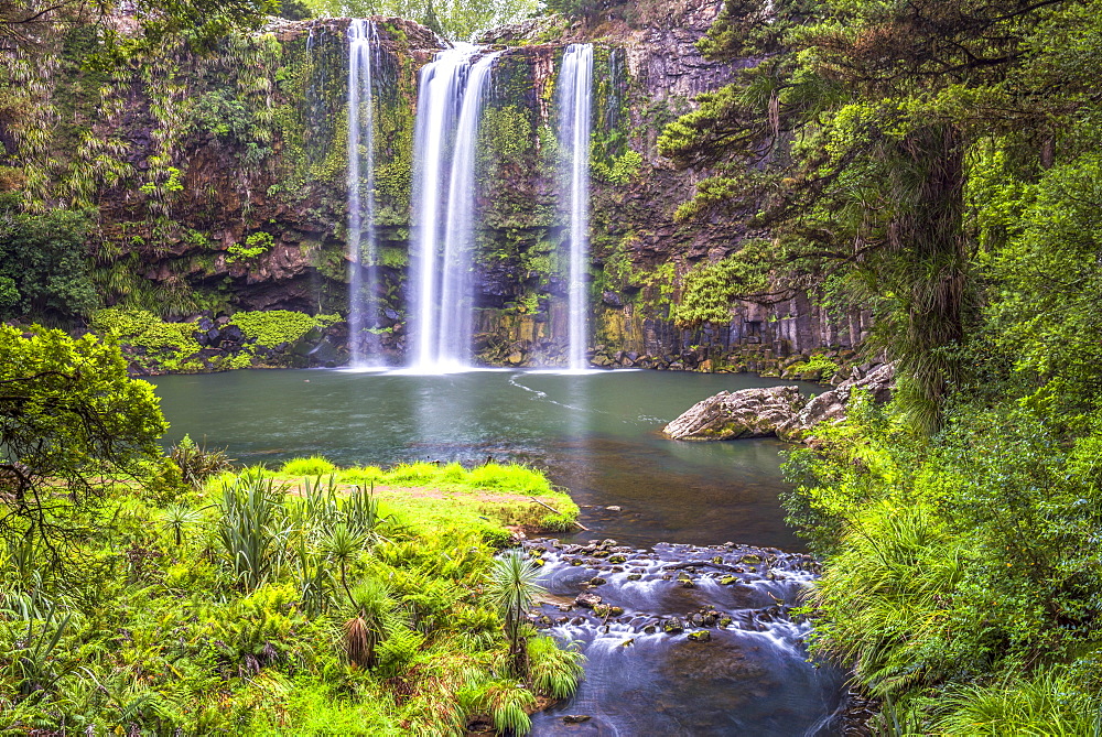 Whangarei Falls, a popular waterfall in the Northlands Region of North Island, New Zealand, Pacific