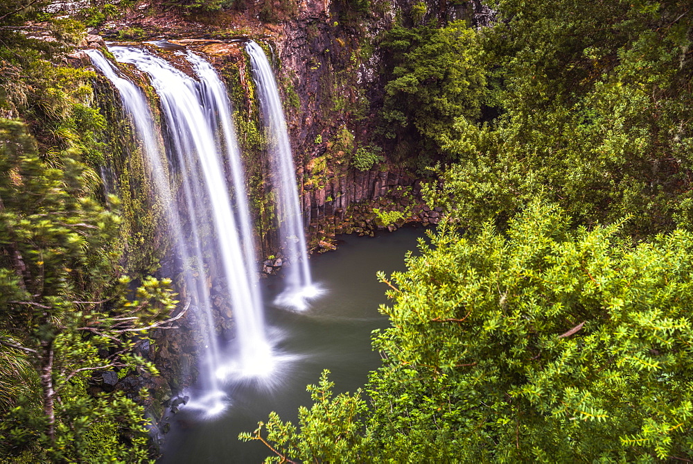 Whangarei Falls, a popular waterfall in the Northlands Region of North Island, New Zealand, Pacific