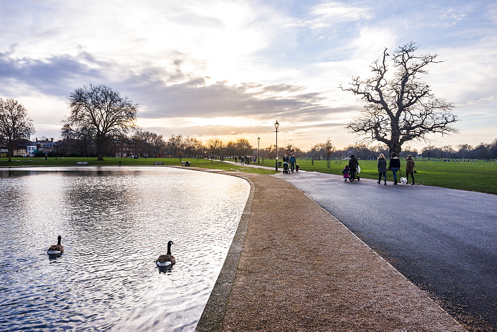 Lake, Clapham Common at sunset, Lambeth Borough, London, England, United Kingdom, Europe