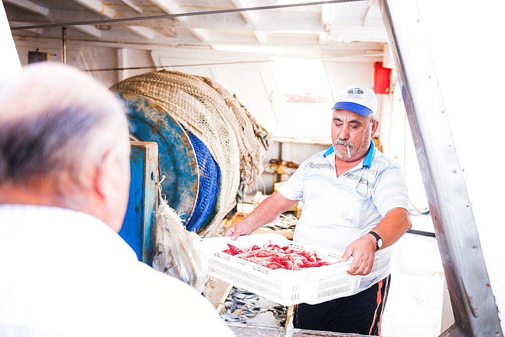 Fish market, Almeria, Andalucia, Spain, Europe