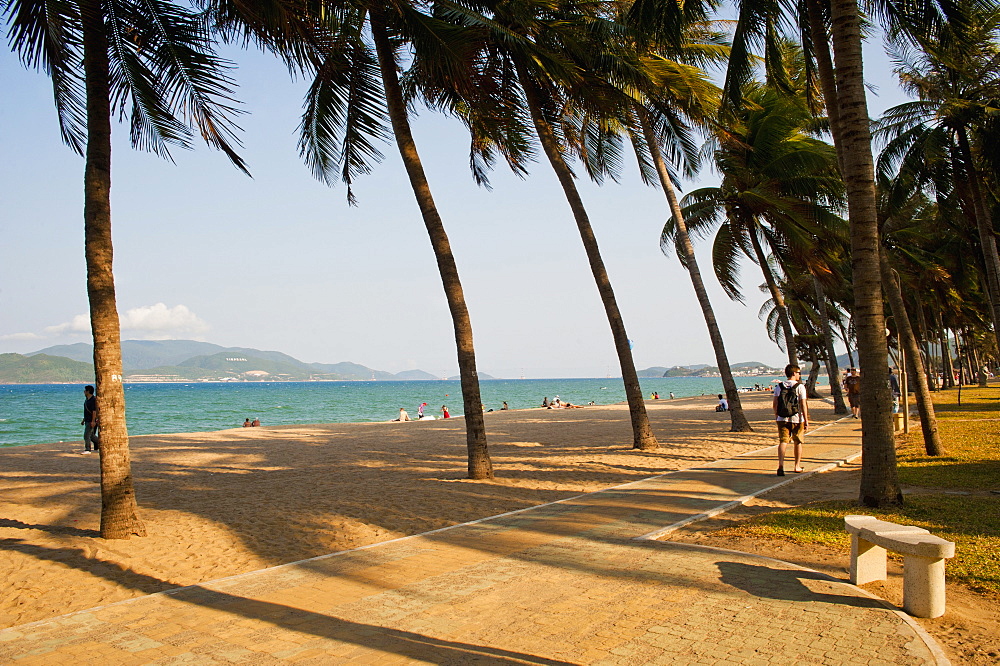 Palm trees at beautiful Nha Trang beach, Vietnam, Indochina, Southeast Asia, Asia