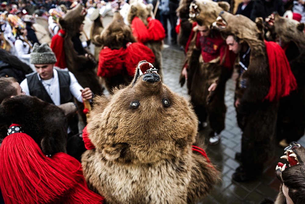 New Year Bear Dancing Festival, Comanesti, Moldova, Romania, Europe