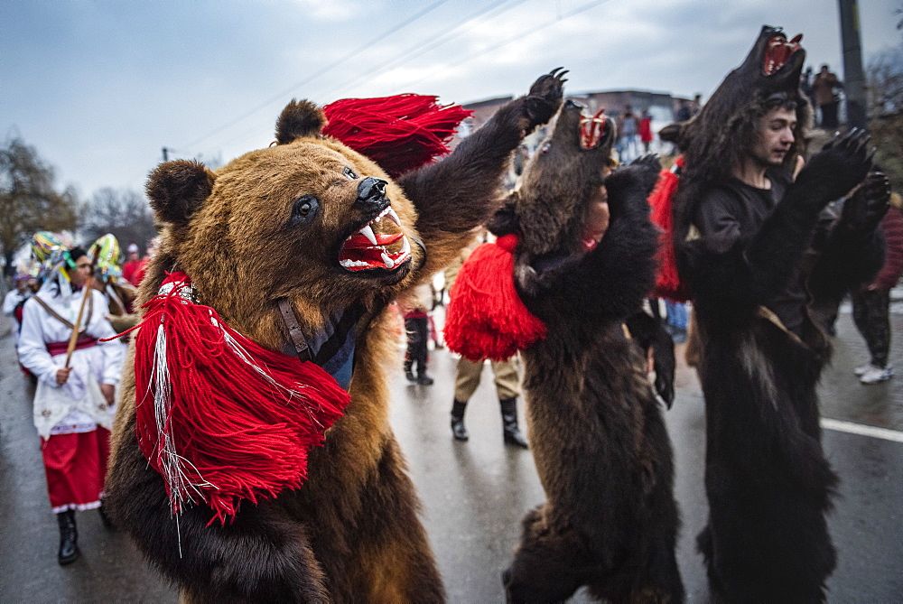 New Year Bear Dancing Festival, Comanesti, Moldova, Romania, Europe