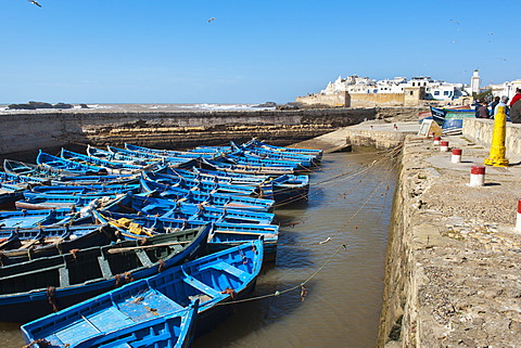 Blue fishing boats in Essaouira Port, formerly Mogador, Morocco, North Africa, Africa 