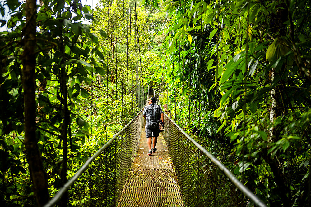 Hanging bridges in cloud forest at San Luis, Alajuela Province, Costa Rica, Central America